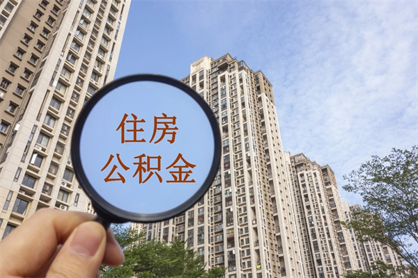 新野去年11月提的公积金今年几月（去年12月提的公积金今年几月可以提）